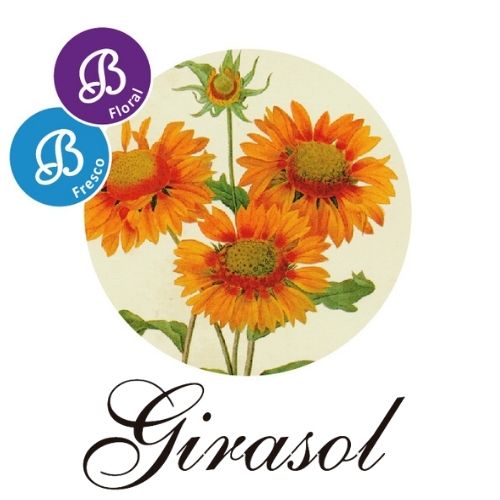Girasol
